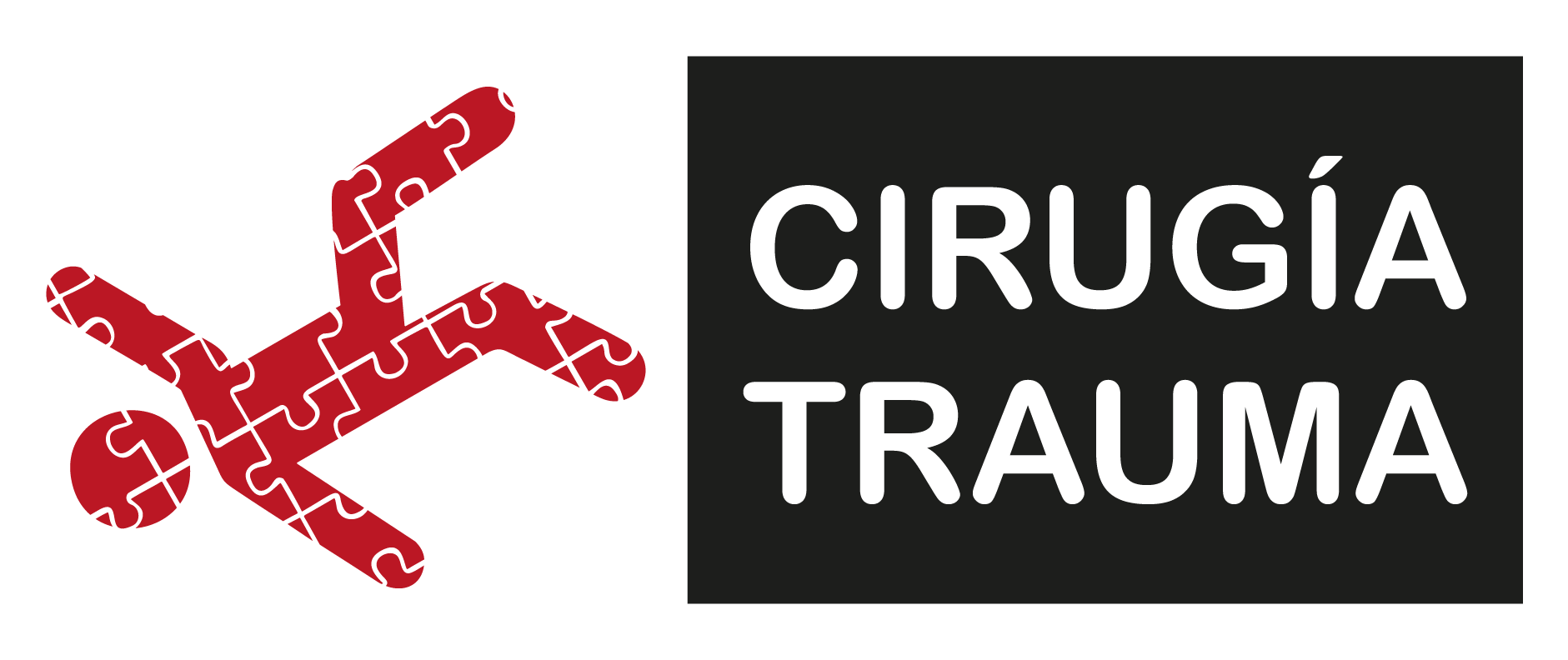 Cursos de Trauma en Puebla