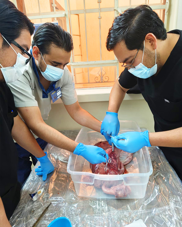 Curso de Reparación de lesiones traumáticas de vía aérea, pulmón y corazón