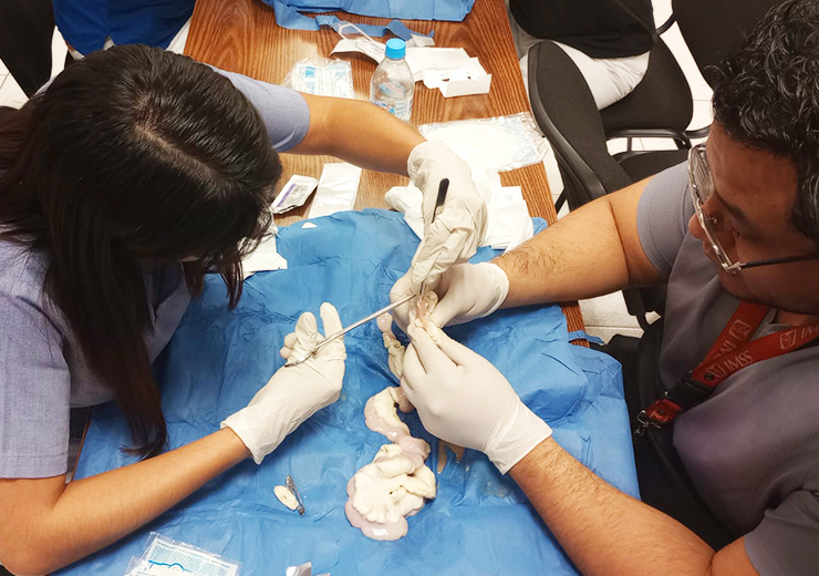 Curso de Reparación de lesiones traumáticas de vía aérea, pulmón y corazón