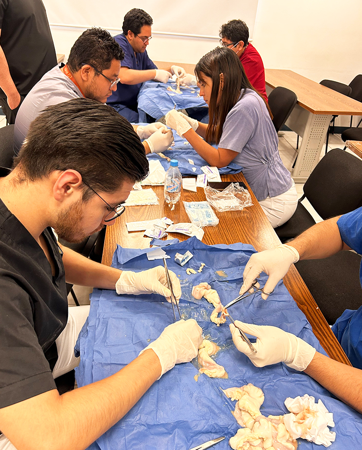 Curso de Reparación de lesiones traumáticas de vía aérea, pulmón y corazón