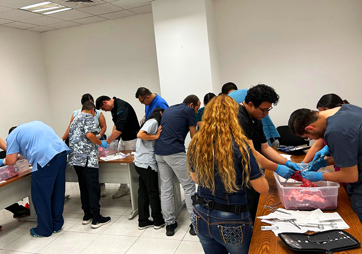 Curso de Reparación de lesiones traumáticas de vía aérea, pulmón y corazón