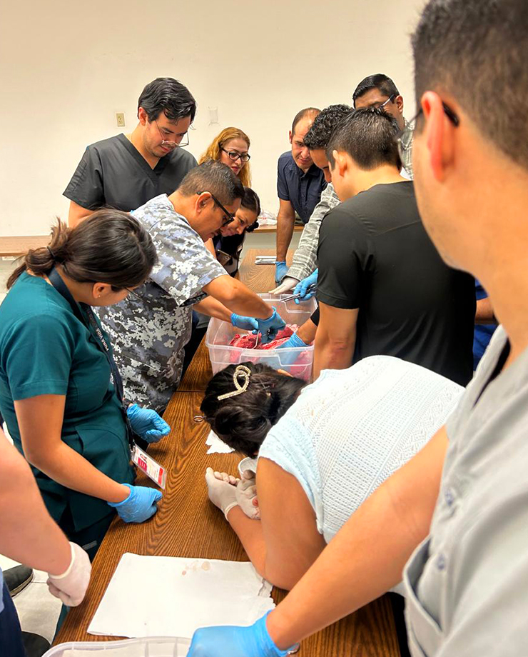 Curso de Reparación de lesiones traumáticas de vía aérea, pulmón y corazón