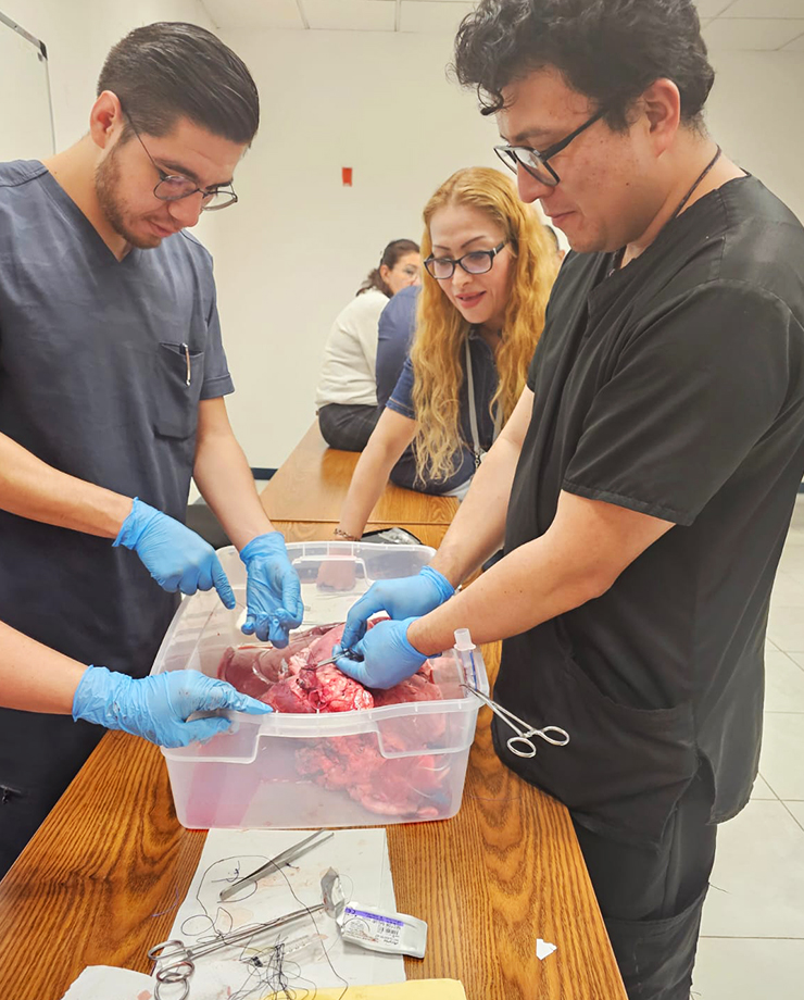 Curso de Reparación de lesiones traumáticas de vía aérea, pulmón y corazón